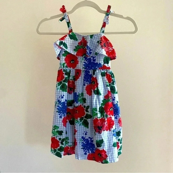 Janie and Jack Other - Janie and Jack, Size 4T, Blue Gingham Red Flower Dress